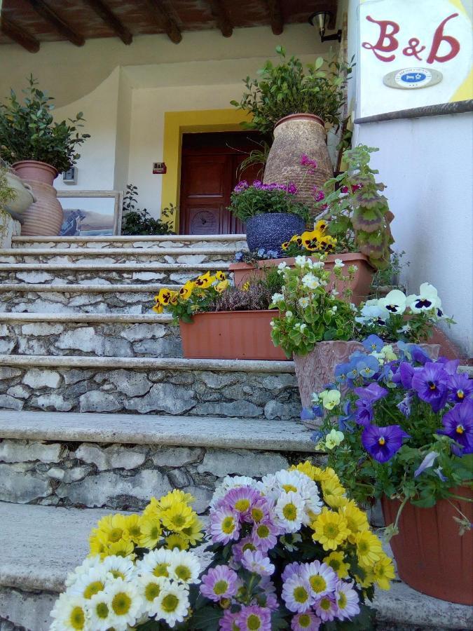Casa D' Artista B&B 奥齐耶里 外观 照片