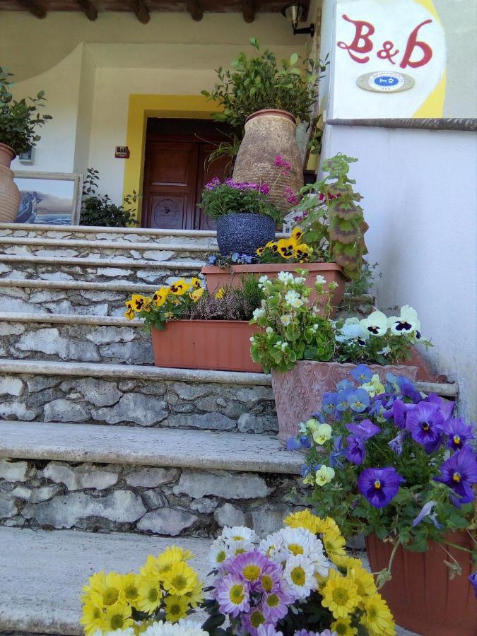 Casa D' Artista B&B 奥齐耶里 外观 照片