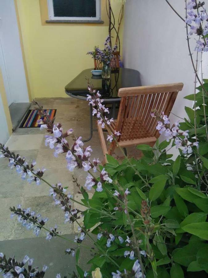 Casa D' Artista B&B 奥齐耶里 外观 照片