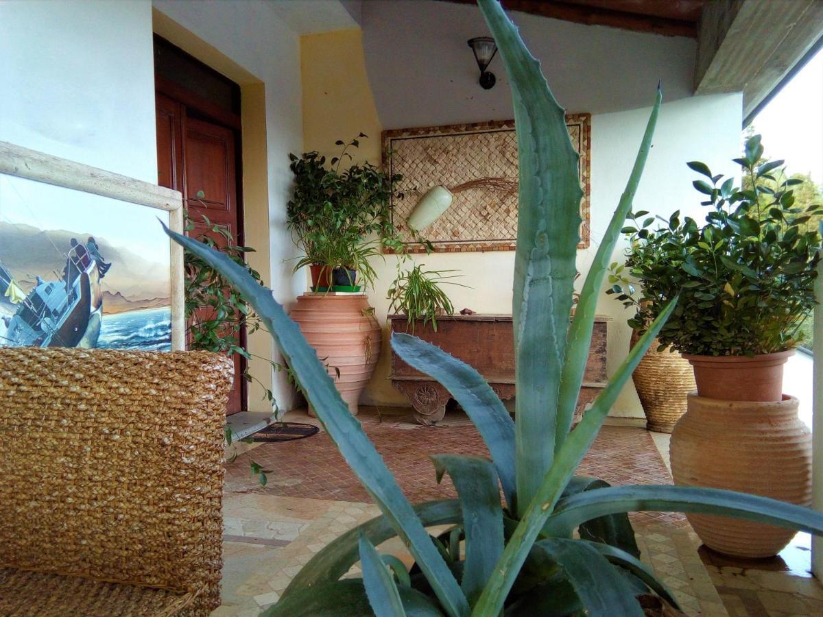 Casa D' Artista B&B 奥齐耶里 外观 照片